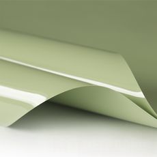 Бледно-зелёный потолок - Глянец цвет L610