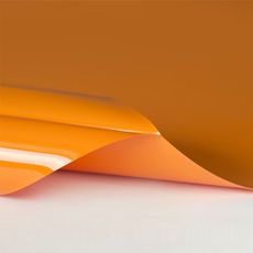 Оранжевый потолок - Глянец цвет L739