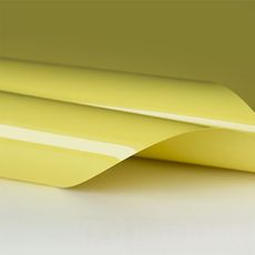 Желто серый потолок - Глянец цвет L721