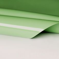 Зелено-белый потолок - Глянец цвет L662