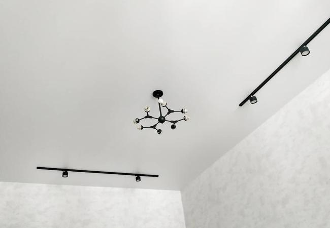 Потолок со световыми полосами в гостиную - цена и фото