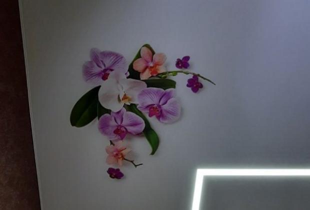 Отзыв - Картинка - Я заказывала натяжной потолок с фотопечатью растительного орнамента для своего салона…